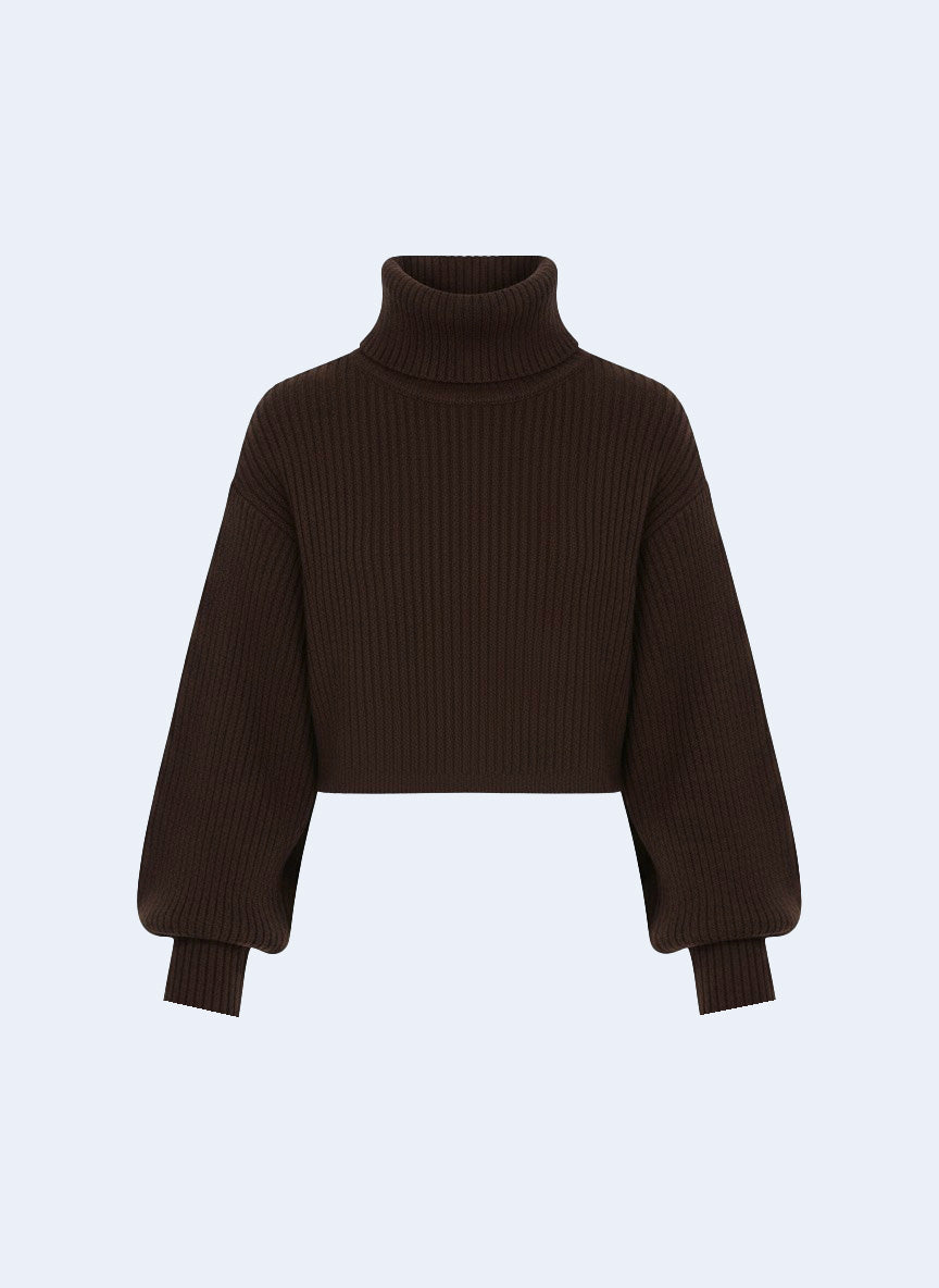 Turtle-Neck Sweater