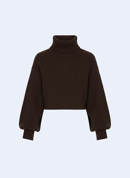 Turtle-Neck Sweater